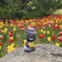 제주여행 필수 한림공원!🌷🌹