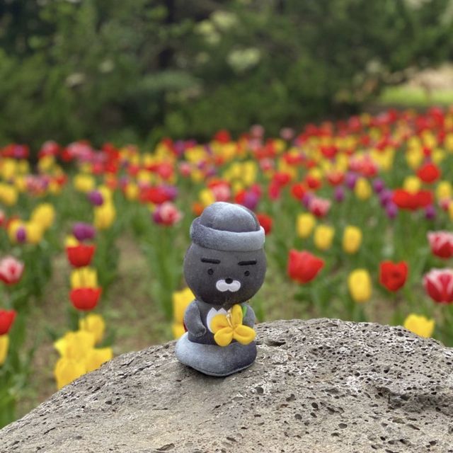 제주여행 필수 한림공원!🌷🌹