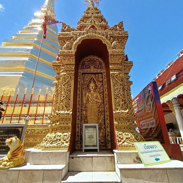 ทริปทำบุญ พระธาตุช่อแฮ แห่งเมืองแพร่