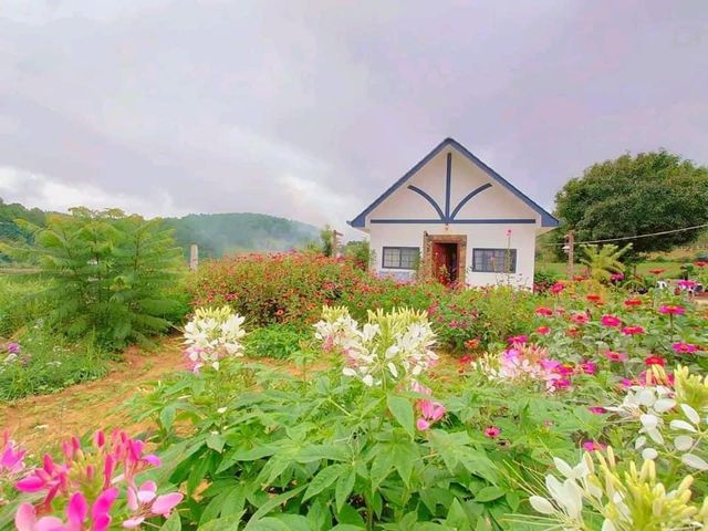 Kalaw, Shan State, Myanmar 