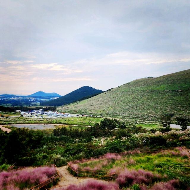 제주3대뷰맛집 새빌 