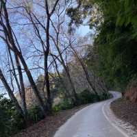  coffee village Doi Pui / Doi Suthep 