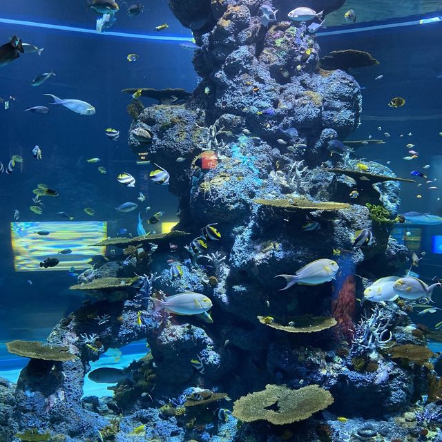 SEA aquarium 