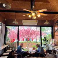 เนินกาแฟที่เชียงราย  ร้านเล็กๆในเมืองเชียงราย