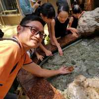 พิพิธภัณฑ์สัตว์น้ำท่าเรือนาโกย่า
