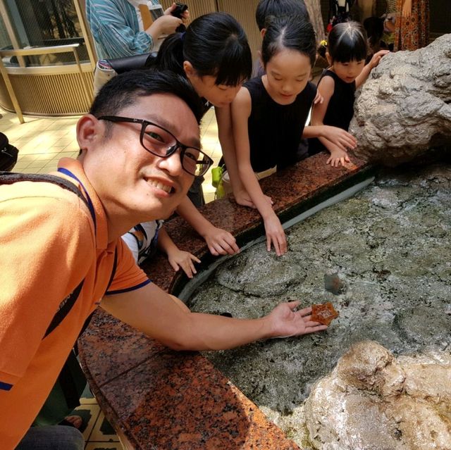 พิพิธภัณฑ์สัตว์น้ำท่าเรือนาโกย่า
