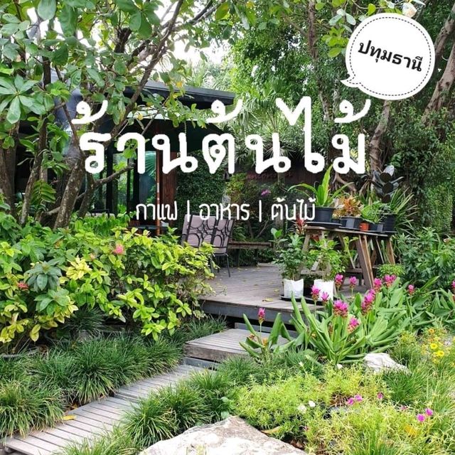 coffee • eatery • plant