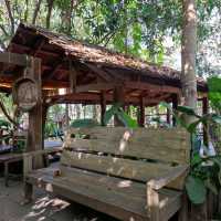 กาแฟในป่า ร้อยเอ็ด