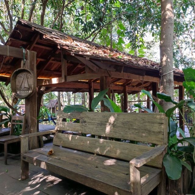 กาแฟในป่า ร้อยเอ็ด