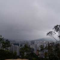 曾大屋與蝌蚪坪