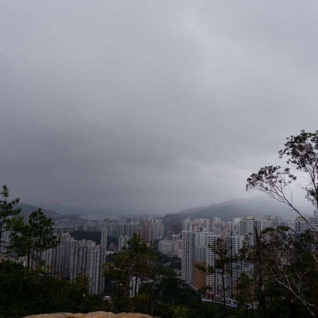 曾大屋與蝌蚪坪