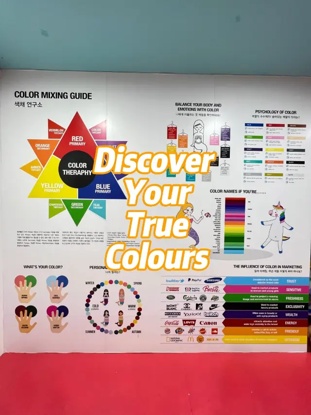 🇰🇷 Discover your true colours 