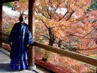 東福寺 · 紅葉