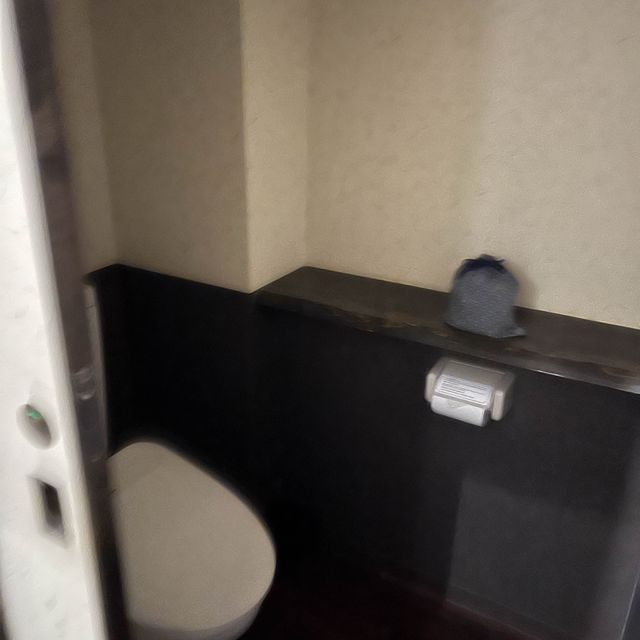 草津硫磺溫泉酒店 木の葉