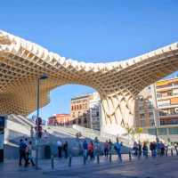 Mushrooms of Seville