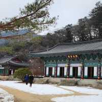 설경이 멋진 수타사의 겨울