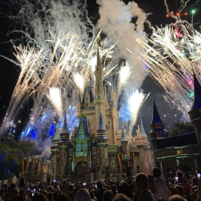 디즈니인턴생이 알려주는 디즈니월드 꿀팁 🏰💖