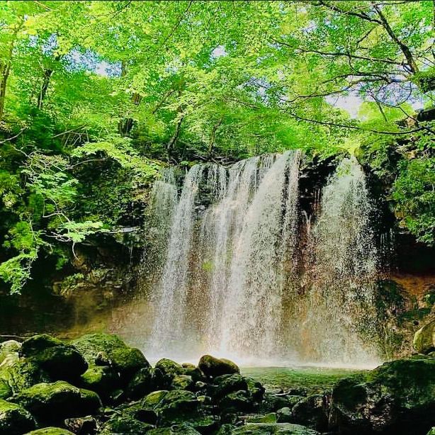 【栃木 那須塩原】乙女の滝