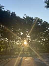 좋은 풍경 나혼자 산책