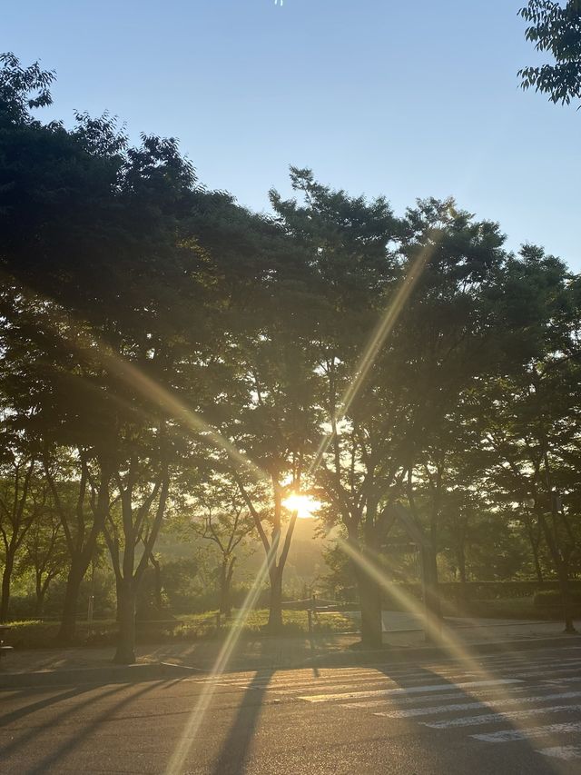 좋은 풍경 나혼자 산책