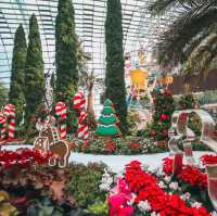 Poinsettia Wishes at Gardens by the Bay