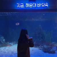 [부산광역시] 씨라이프 부산아쿠아리움