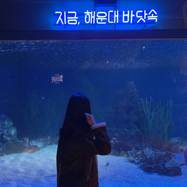 [부산광역시] 씨라이프 부산아쿠아리움