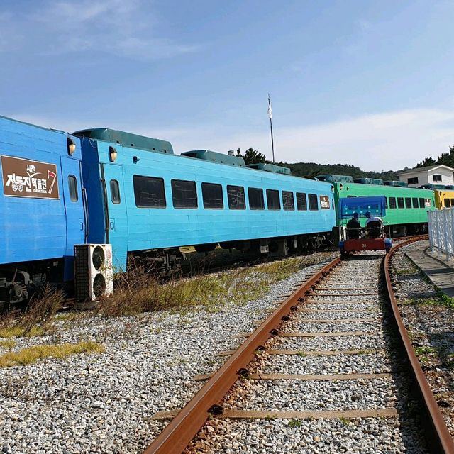 해변열차가 타고싶을 땐? <정동진 해변열차>