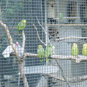 百鳥苑