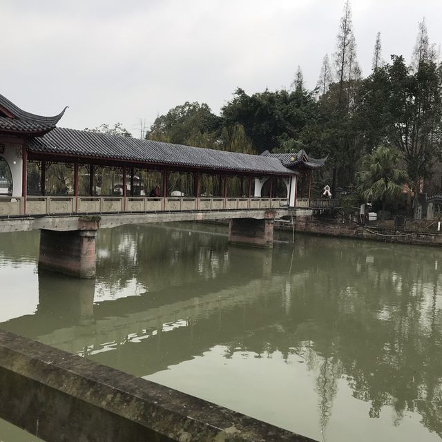 Motherland of Pandas - Chengdu 