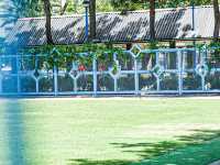 漫步人生 荃灣公園