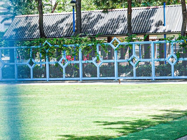 漫步人生 荃灣公園