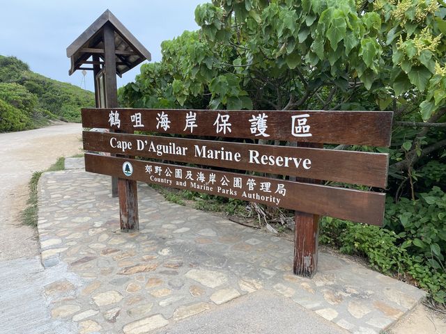 鶴咀行山路線🌊新手必睇👍🏻