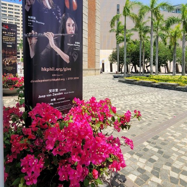 香港好去處 ～ 尖沙咀公眾碼頭海濱區 