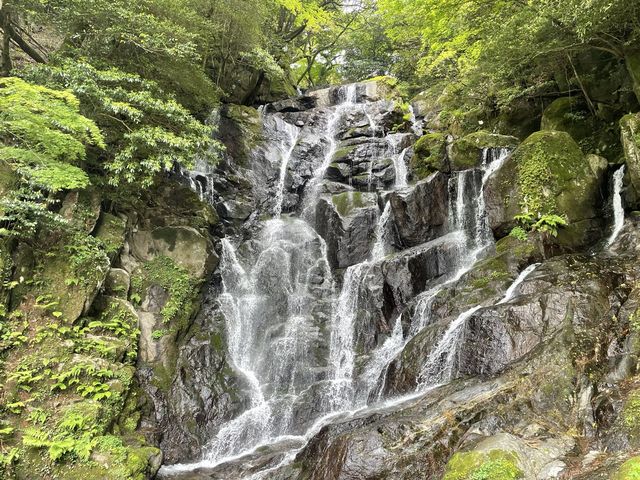 マイナスイオンたっぷり『白糸の滝』