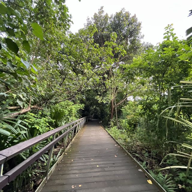 Scenic Hike Along Labrador Nature Walk 