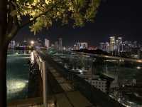 Soaking in the moonlight and cityscape 