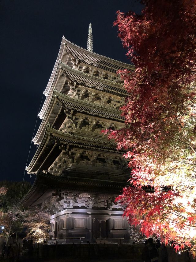京都で紅葉や桜を見るなら東寺