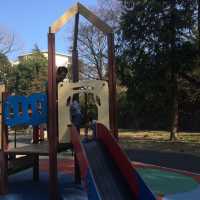 保土ヶ谷公園で自然と遊ぼう！