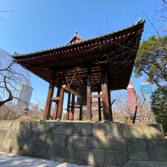 【東京】夜と朝の増上寺