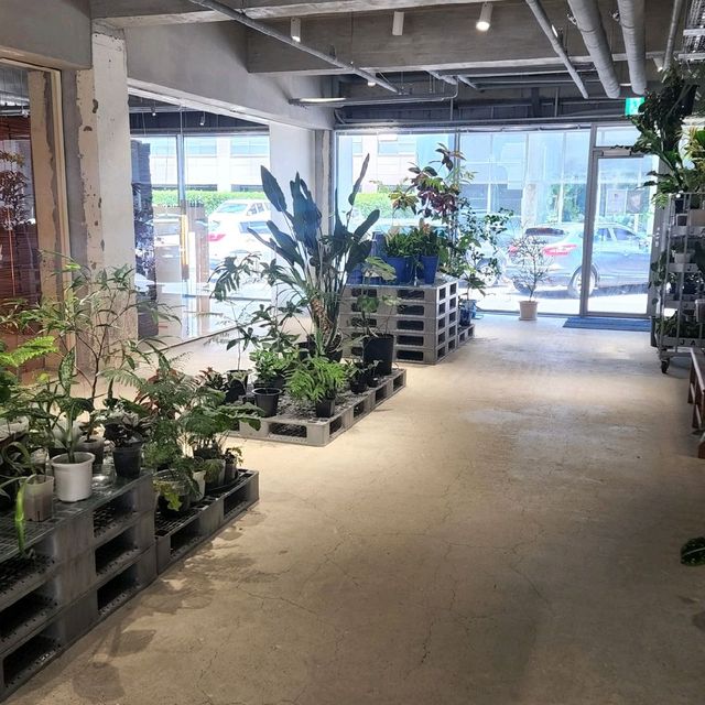 제주 1박 2일 혼자여행