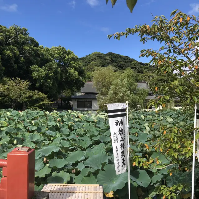 【鶴岡八幡宮③】旗上弁財天