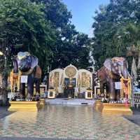 เดินขึ้นพระธาตุดอยคำ