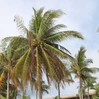 Pristine Patong Beach in Thailand