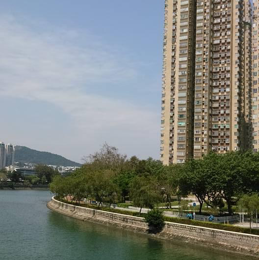 Explore out the great view of Shing Mun river