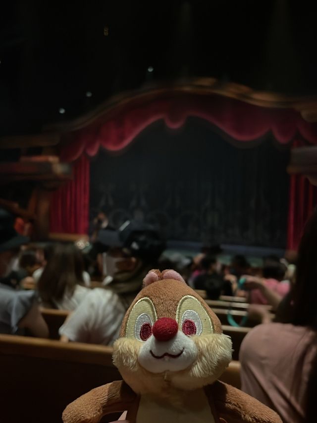 大人細路都好鐘意去既迪士尼樂園❤️
