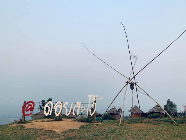 ดอยสะโง้ @เชียงราย 💚⛰️