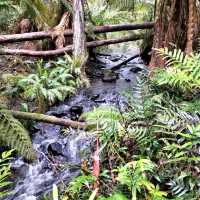 Bruny Island