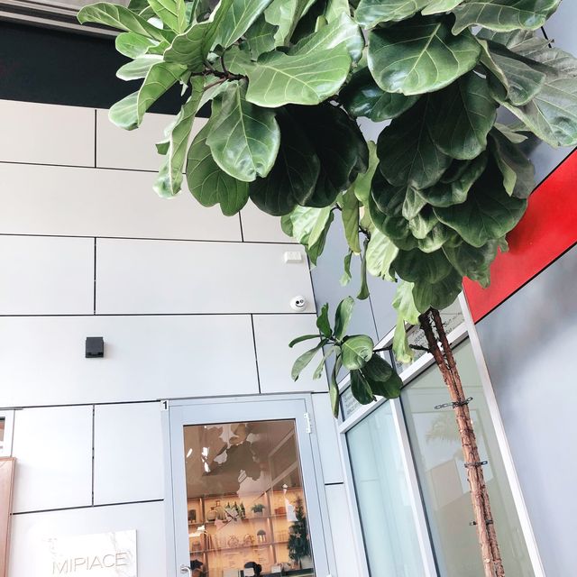 【🇦🇺☕️こだわり垣間見れるケアンズカフェ】inオーストラリア