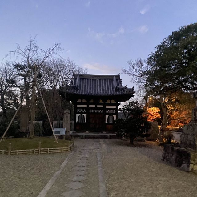 美輪美奐的平等院